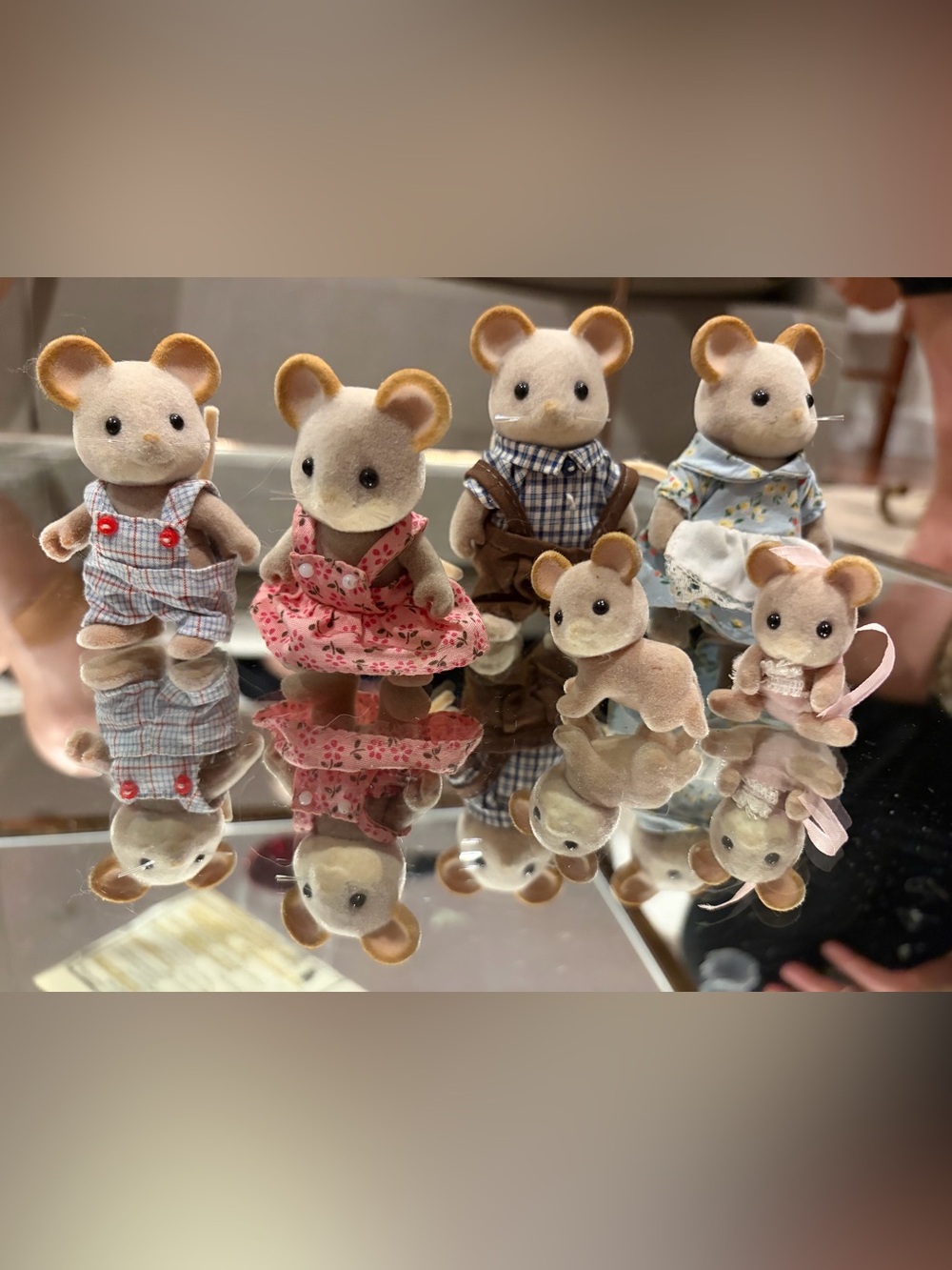 Maces/Norwood Family of Sylvania/Calico Critters